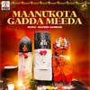 About Maanukota Gadda Meeda Song